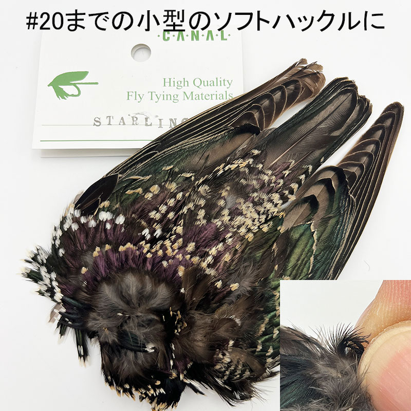 フライタイイング