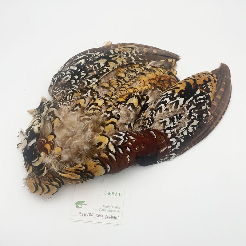 ����ʥ롡�꡼�֥��ե�����ȡ�����ץ꡼�ȥ�����