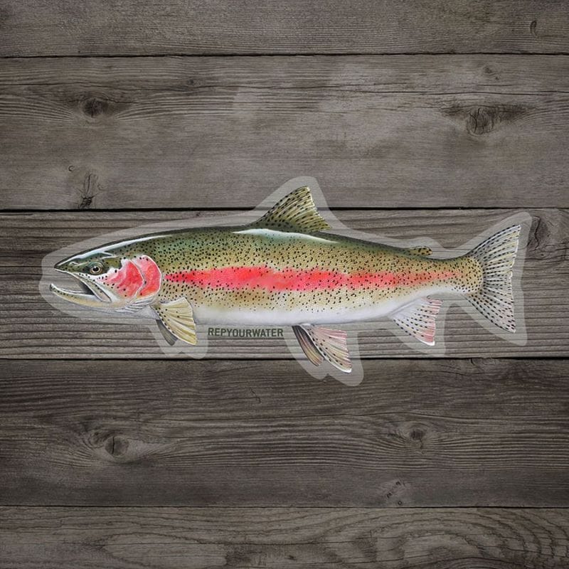 Rep Your Water - COLD WATER RAINBOW ���ƥå���