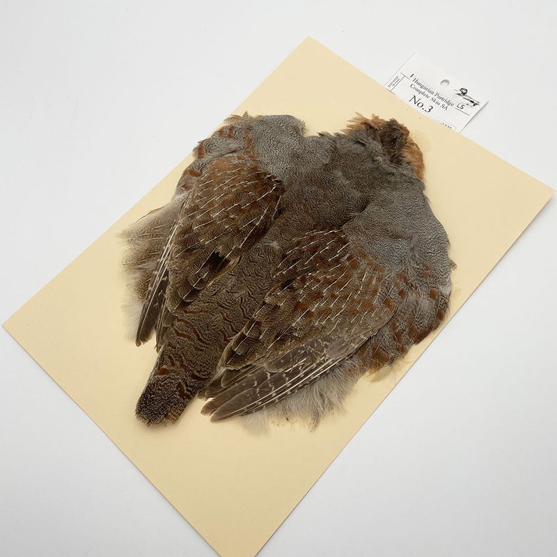 �ϥ󥬥ꥢ��ѡ��ȥ�å�������ץ꡼�ȥ����� SA NO.13