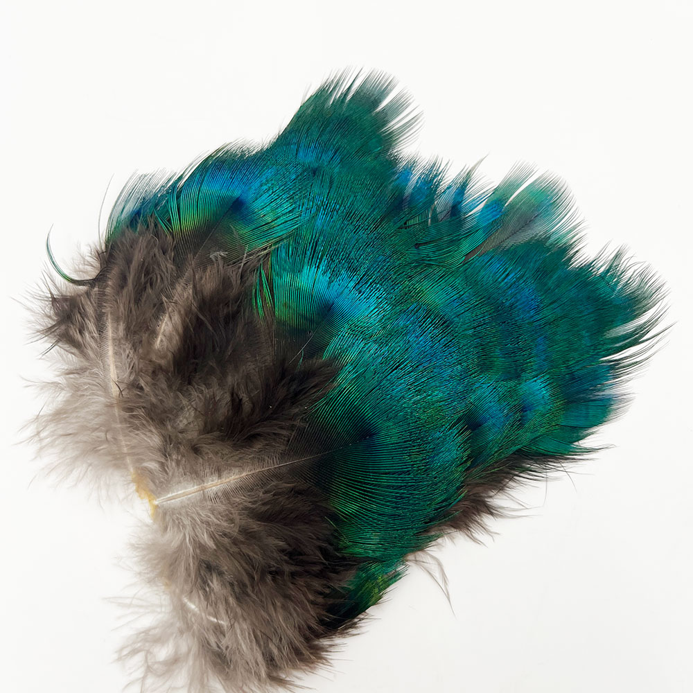 CANAL社 ピーコック グリーンネック[CN158]