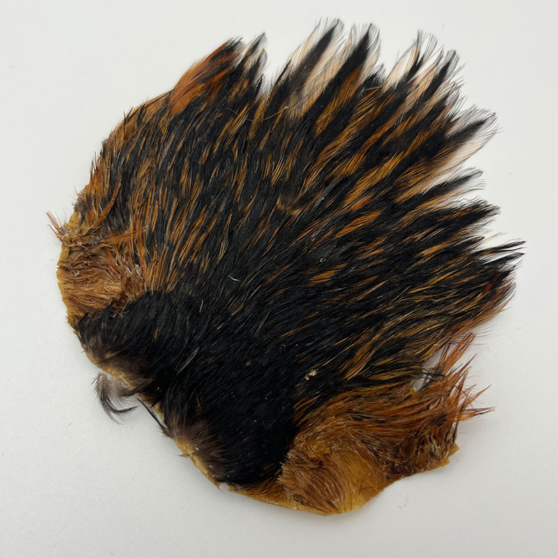 CANAL�ҡ�����ǥ�����إ�ͥå������ԥʡ������󥰡ʤ��㤤����