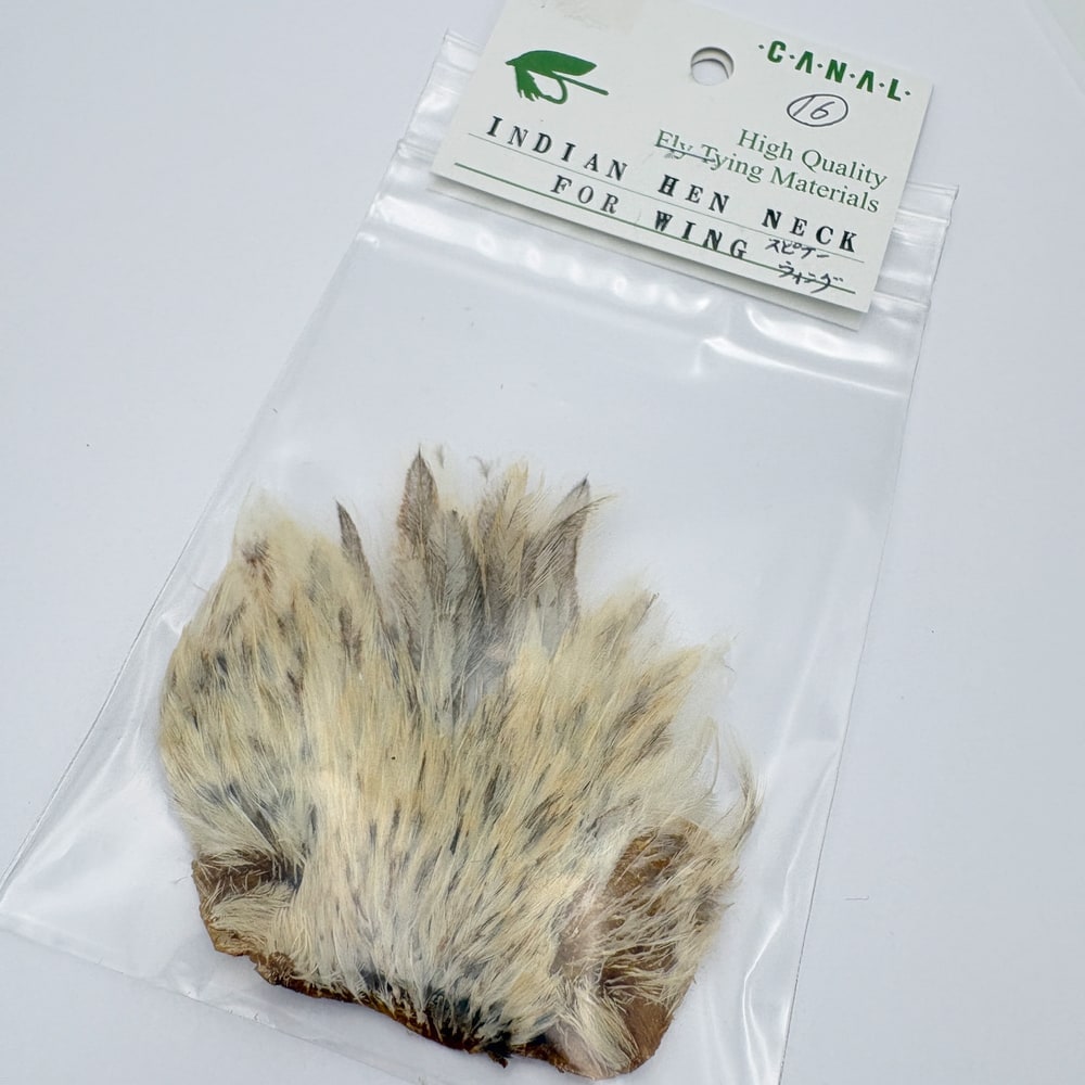 CANAL�ҡ�����ǥ�����إ�ͥå������ԥʡ������󥰡ʤ��㤤����