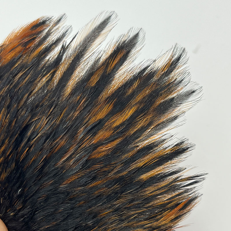 CANAL�ҡ�����ǥ�����إ�ͥå������ԥʡ������󥰡ʤ��㤤����