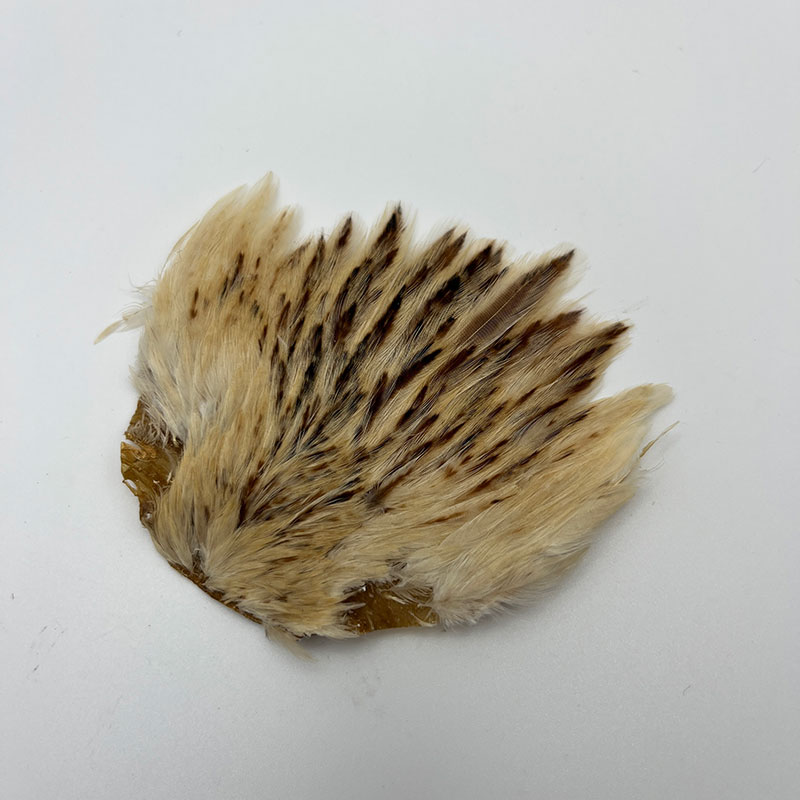 CANAL�ҡ�����ǥ�����إ�ͥå������ԥʡ������󥰡ʤ��㤤����