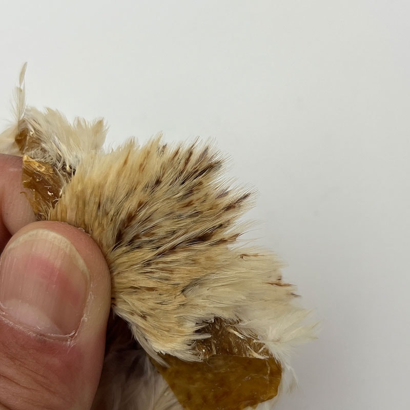 CANAL�ҡ�����ǥ�����إ�ͥå������ԥʡ������󥰡ʤ��㤤����