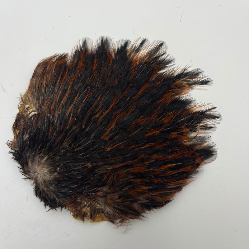 CANAL�ҡ�����ǥ�����إ�ͥå������ԥʡ������󥰡ʤ��㤤����