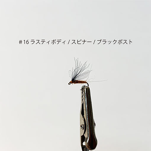 ���롼������