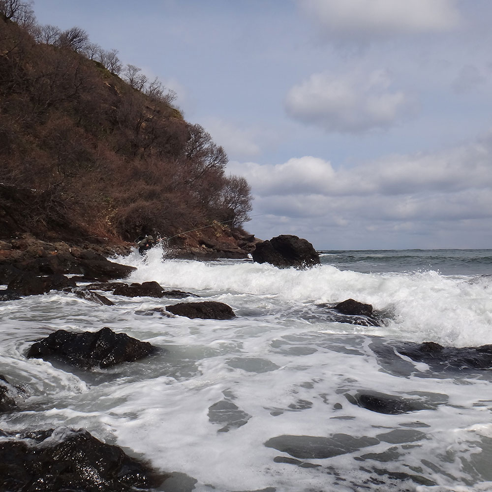 SD-X #13 (17ft) [A0002 010]