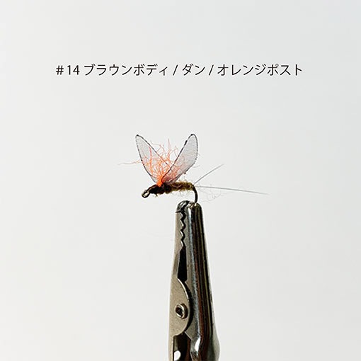 ���롼������