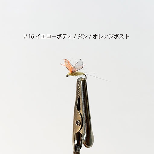 ���롼������