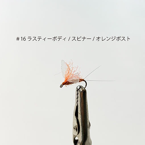 ���롼������