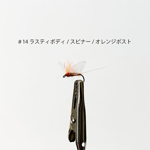 ���롼������