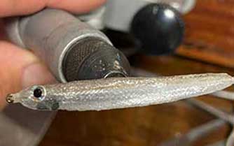 ���ꥢ�������ꥹ���롦�ޥ��顼���塼�� [CMT]