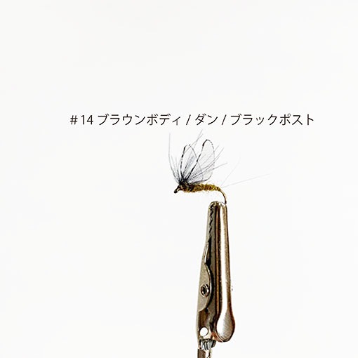 ���롼������