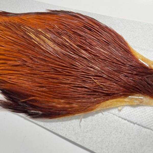 KEOUGH �ϥå��륱���ס���2���֥饦���NO.7)