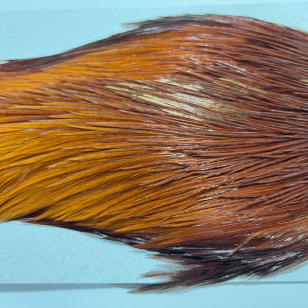 KEOUGH �ϥå��륱���ס���2���֥饦���NO.7)