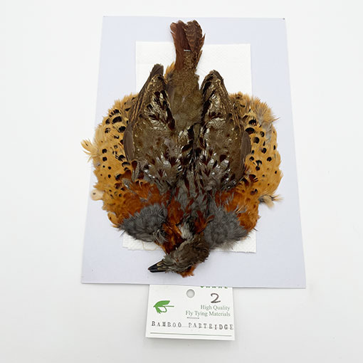 CANALҡХ֡ѡȥåץ꡼ȥ 2