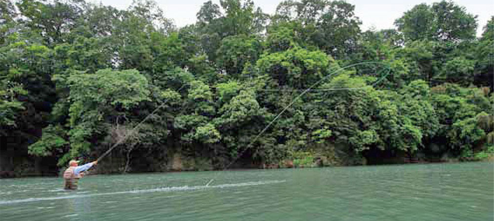 ��2025 /12/20������������С��إåɡ����ڥ������㥹�ƥ��󥰥�������ʤ���ʸ���WEB�Ǥξ��ʥڡ�������ʸ�������ߥե����फ�黲�üԾ������������������