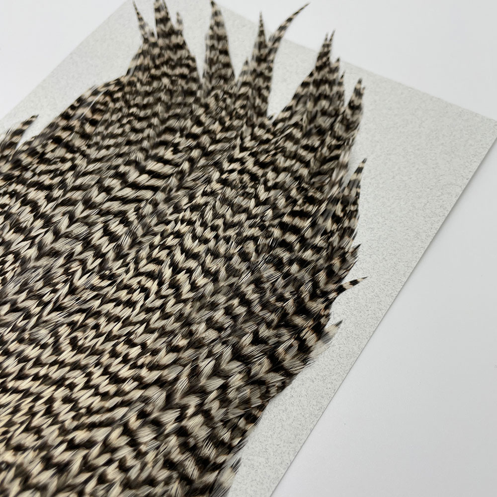 KEOUGH ハックルケープ ＃2 グリズリー（No.6)