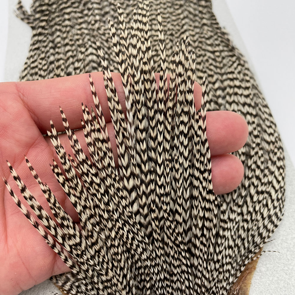 KEOUGH ハックルケープ ＃2 グリズリー（No.6)