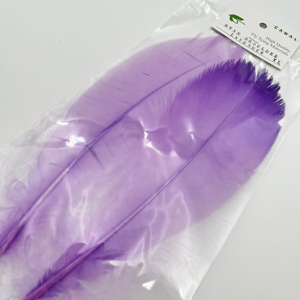 CANAL�� ����󥷥����������� XL