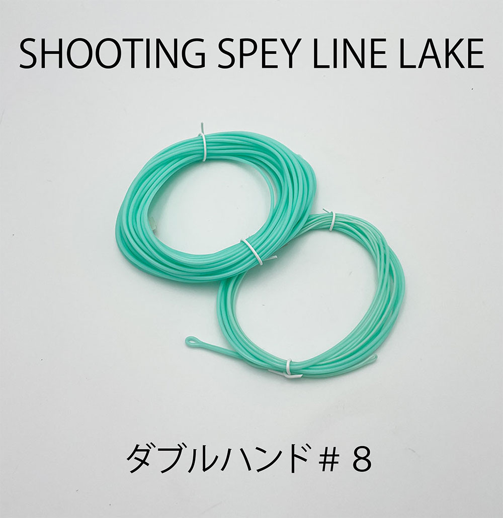 ���塼�ƥ��󥰥��ڥ��饤��쥤���ʥ��֥�ϥ�ɣ��֡ˡ�D47 001]