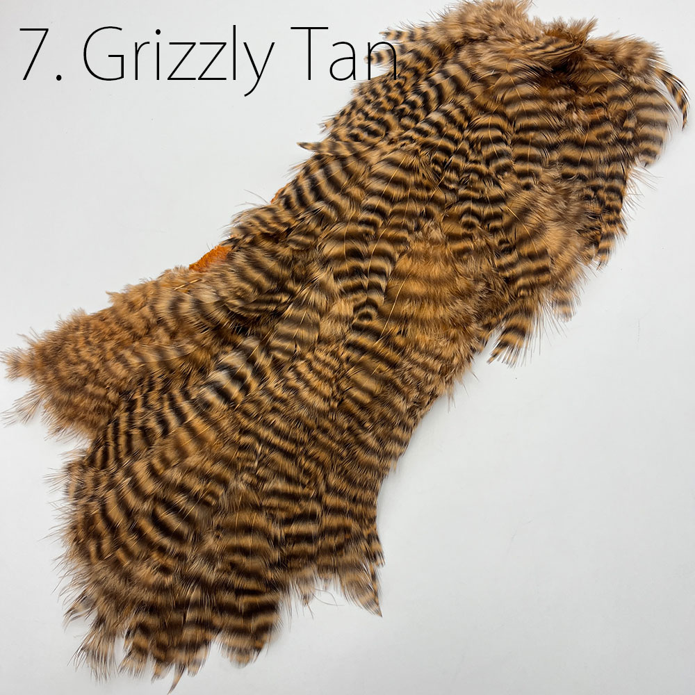 ホフマン ハーフ ハックル 三種 使用品 ヘンリーホフマン・チカブー (ハーフスキン)