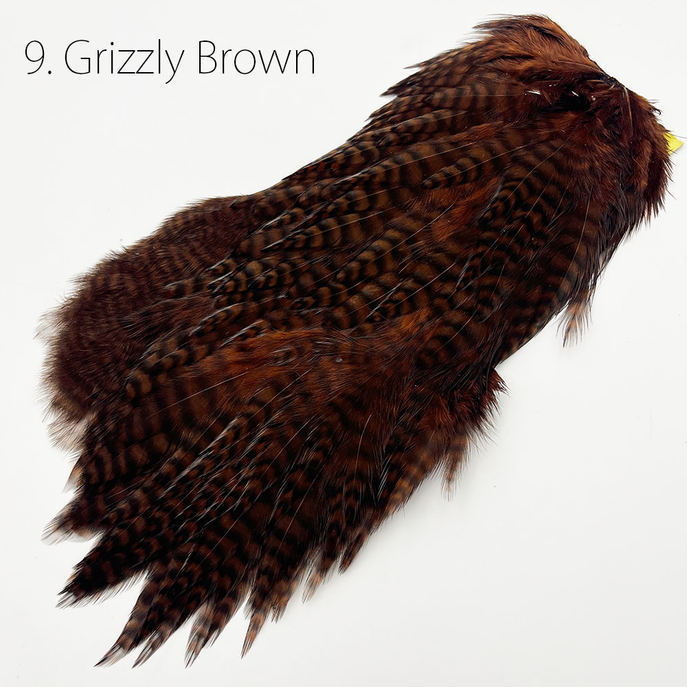 ヘンリーホフマン・チカブー (ハーフスキン)