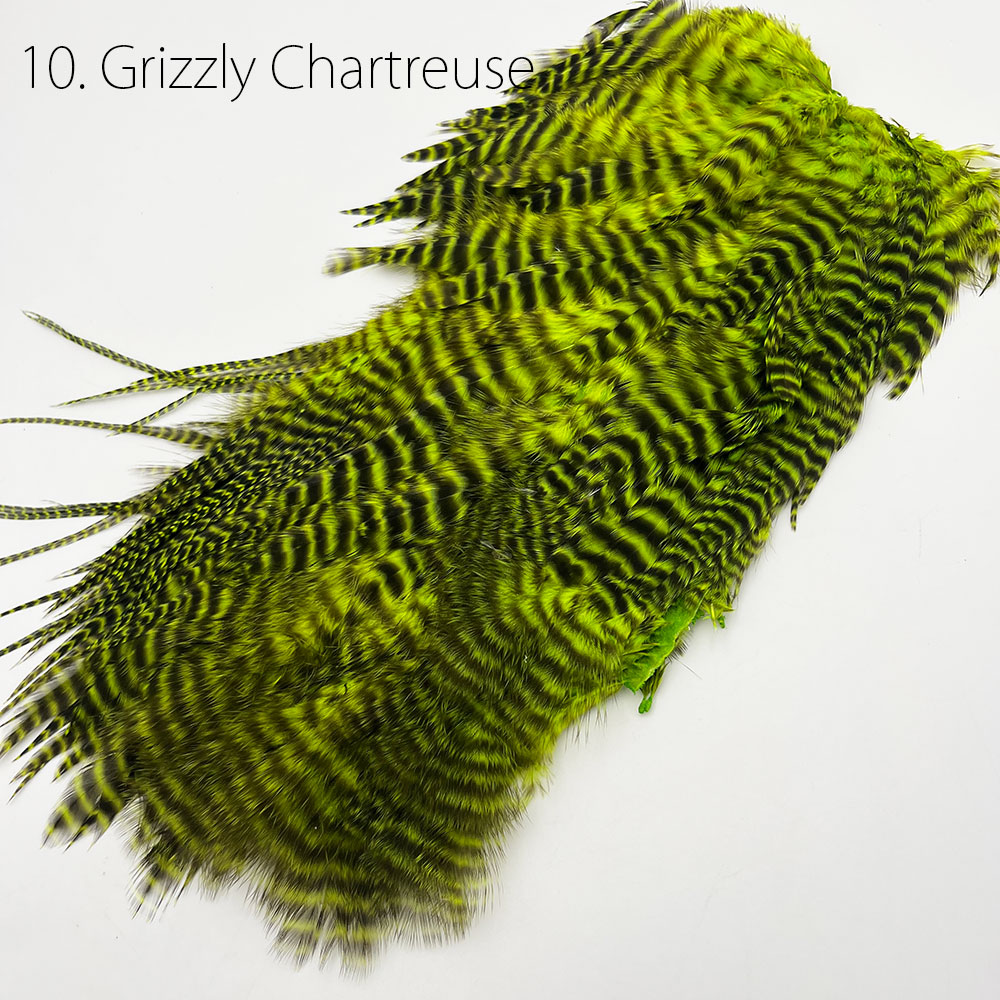 ヘンリーホフマン・チカブー (ハーフスキン)