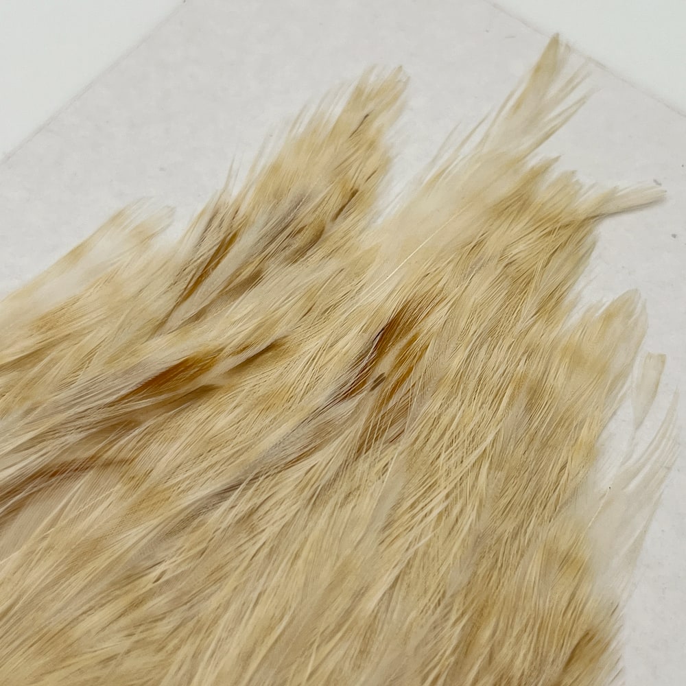 CANALҡԥʡ LT.󥸥㡼SA No.6