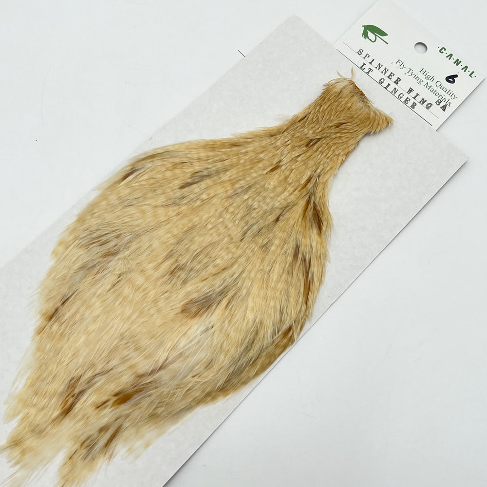 CANALҡԥʡ LT.󥸥㡼SA No.6