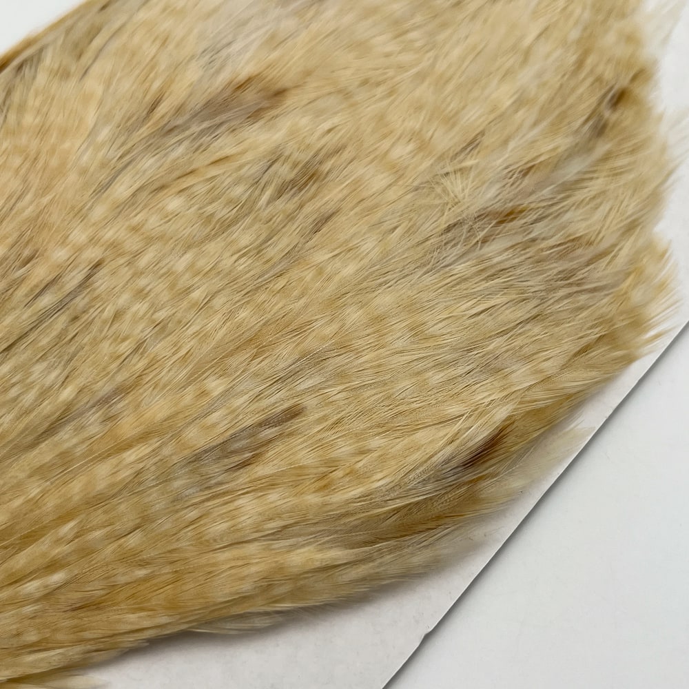 CANALҡԥʡ LT.󥸥㡼SA No.6