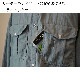ON THE WATER - UTILITY FISHING SHIRT