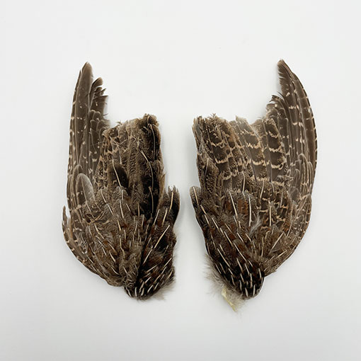 KENCUBE パートリッジウイング【PW 001】