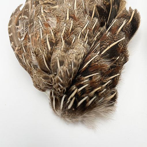 KENCUBE パートリッジウイング【PW 001】