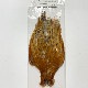 CANAL�ҡ����㥤�ˡ��������סʳƼ��