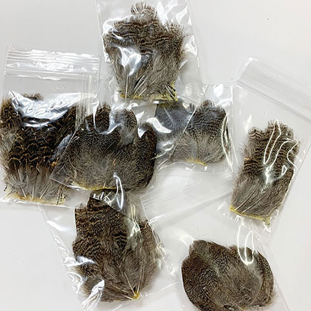 KENCUBE���ѡ��ȥ�å����֥饦��Хå��ѥå�����PTD 006��