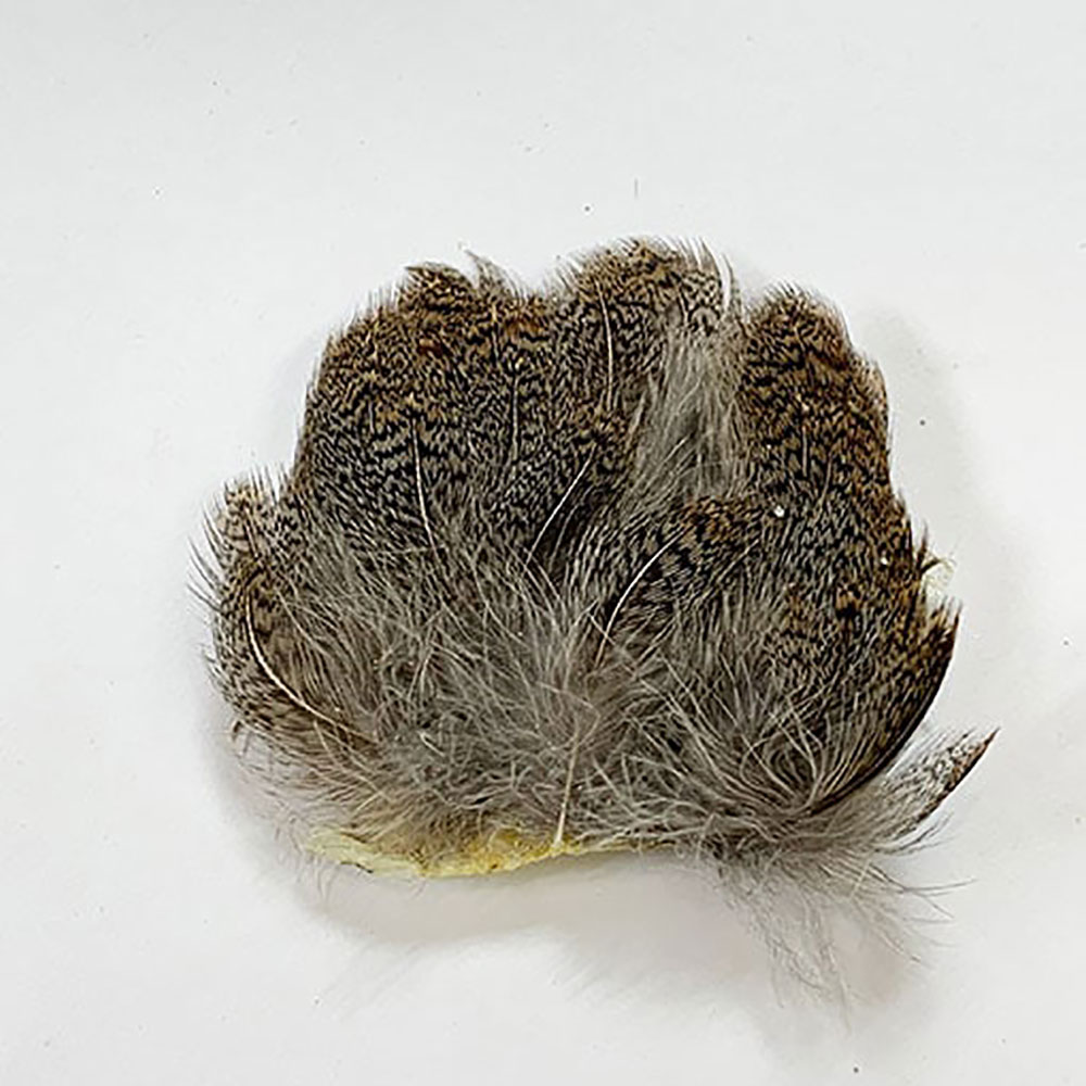 KENCUBE���ѡ��ȥ�å����֥饦��Хå��ѥå�����PTD 006��