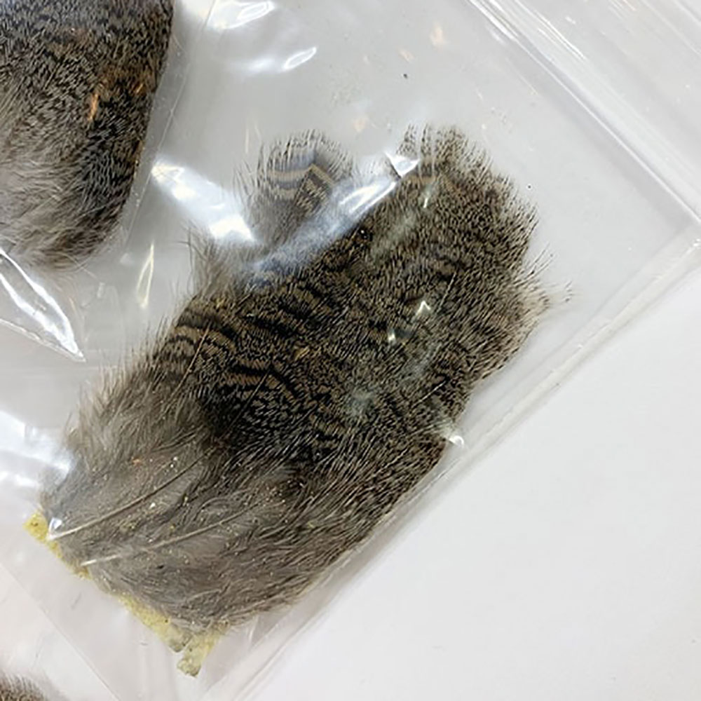 KENCUBE���ѡ��ȥ�å����֥饦��Хå��ѥå�����PTD 006��