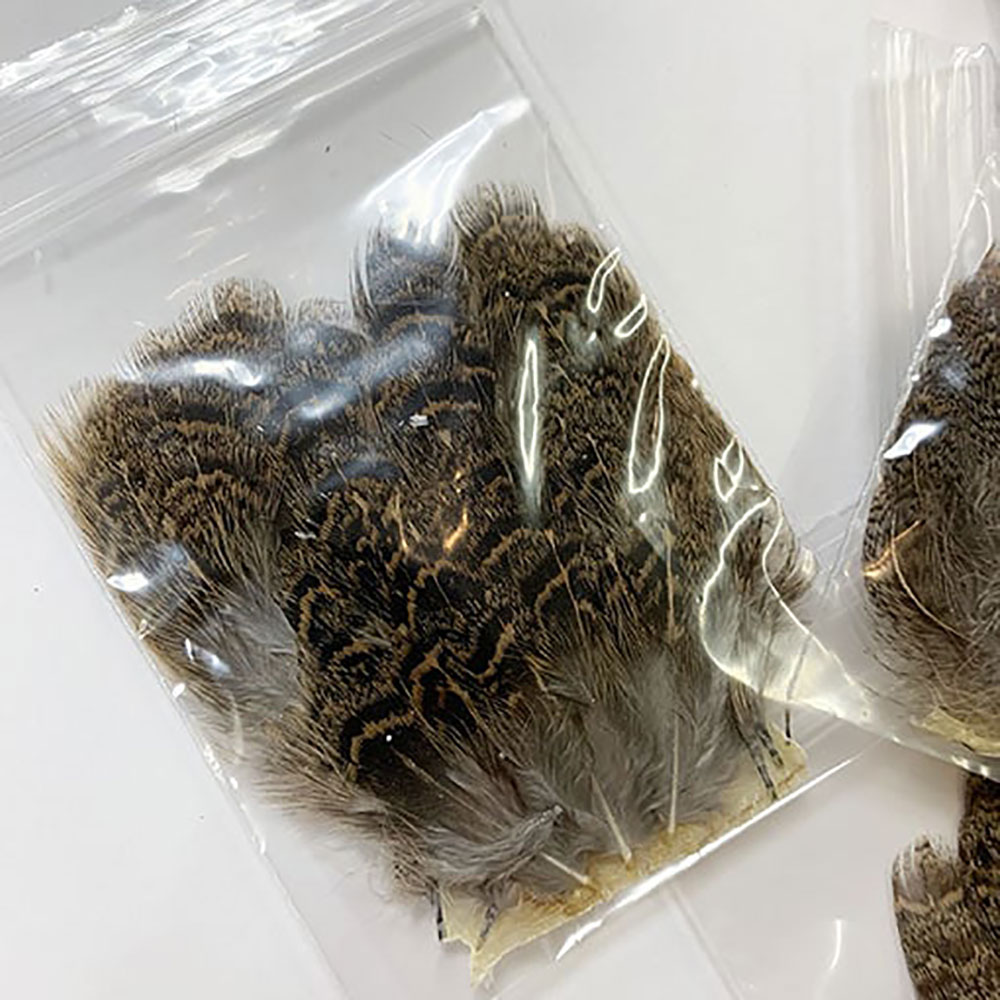 KENCUBE���ѡ��ȥ�å����֥饦��Хå��ѥå�����PTD 006��