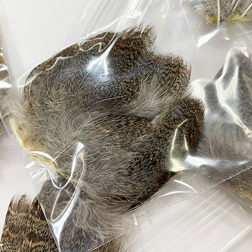 KENCUBE���ѡ��ȥ�å����֥饦��Хå��ѥå�����PTD 006��