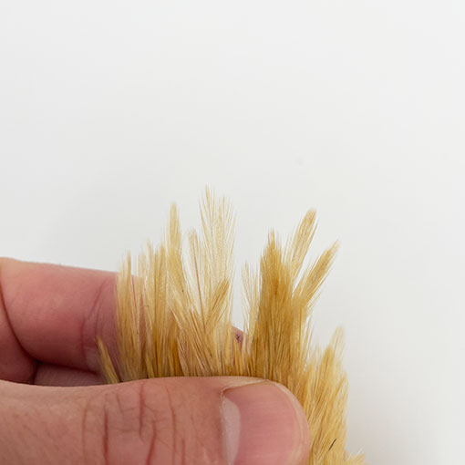 CANAL�ҡ�����ǥ����󥱡��� L��SPINER WING