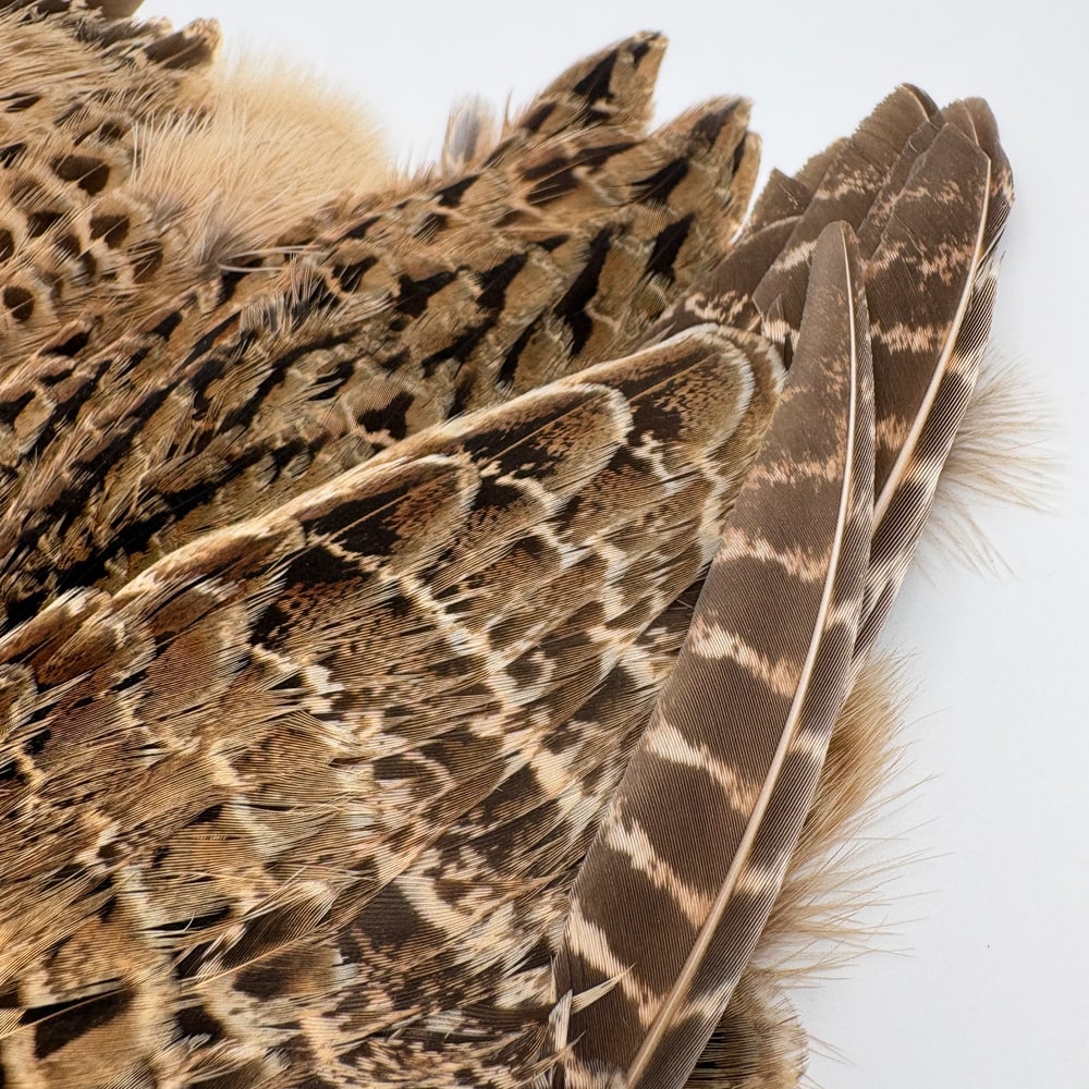 CANAL�ҡ��إ�ե�����ȡ�����ץ꡼�ȥ�����ʥơ���ʤ��� No.2