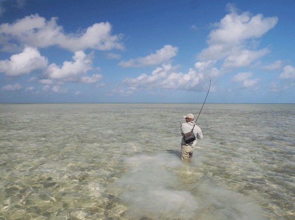 K.Bullet ��WAY�������ȥѥå� [M33 001]