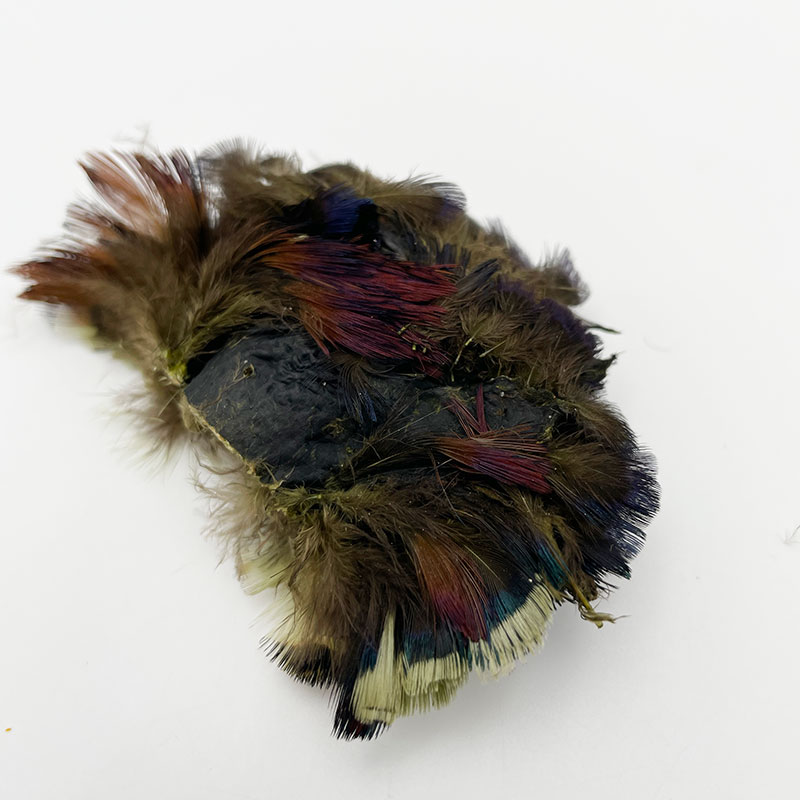 KenCube ɥåե ͥåѥå