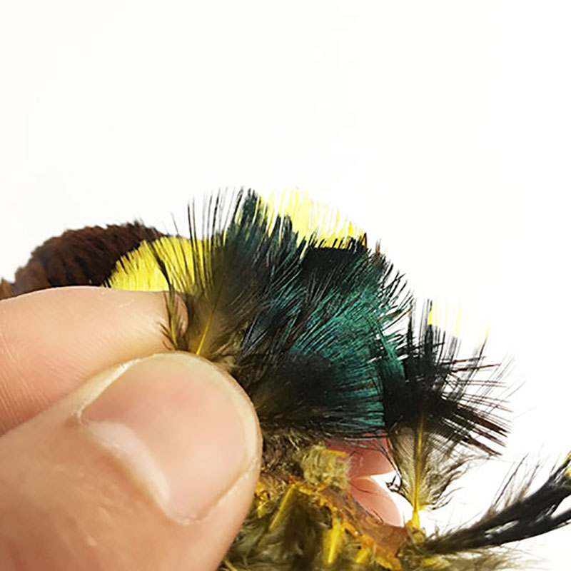 KenCube ɥåե ͥåѥå