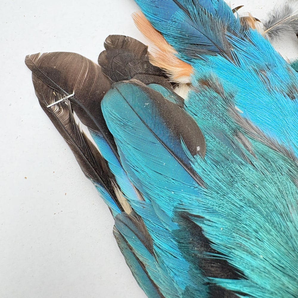 CANAL�ҡ����󥰥ե��å��㡼����ץ꡼�ȥ�����SA  No.1