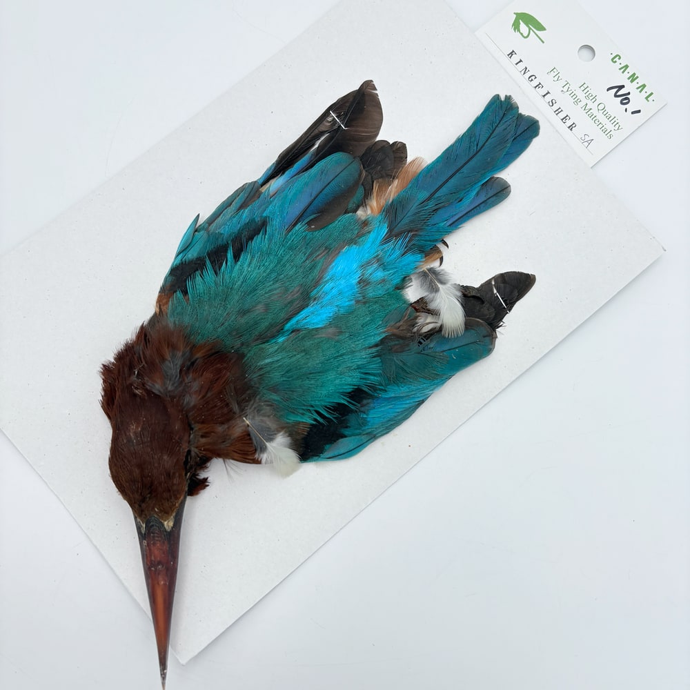 CANAL�ҡ����󥰥ե��å��㡼����ץ꡼�ȥ�����SA  No.1