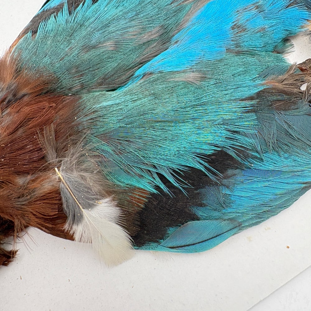 『匿名配送』フライフィッシングマテリアル　サーモンフライ、ウェットフライ特化品 キングフィッシャー ① フライマテリアル ウェットフライ サーモン